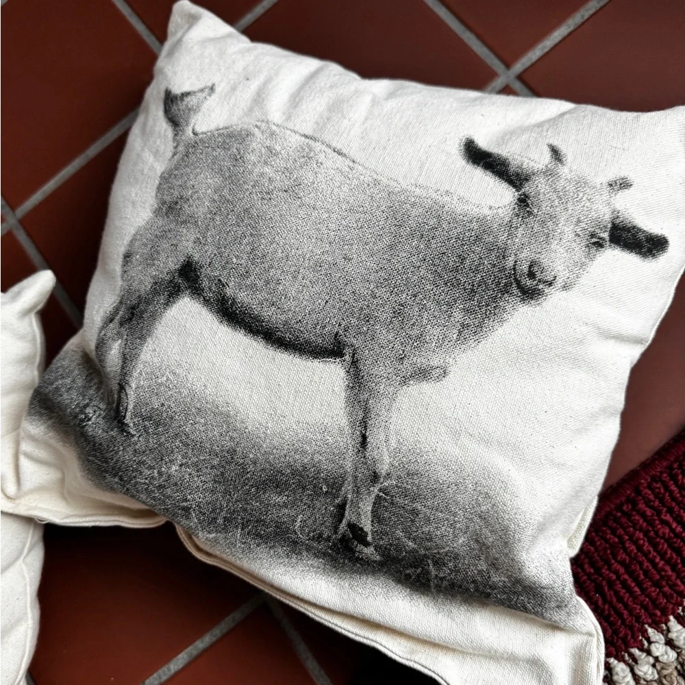 NEW Pig & Goat Pillows by Eric & Christopher 100% cotton Whimsical Farm …